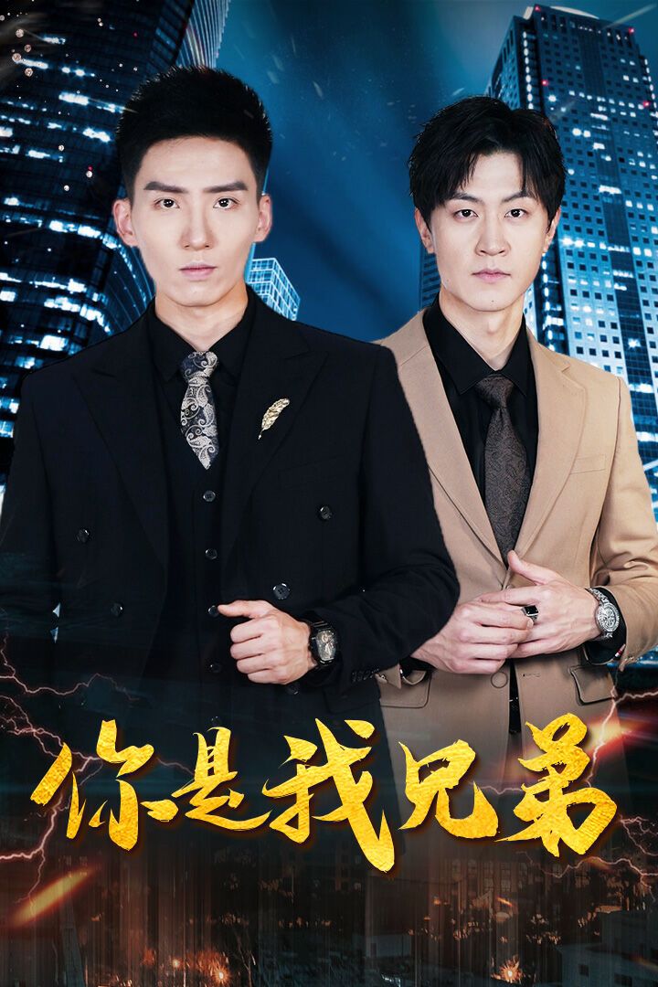 你是我兄弟全集