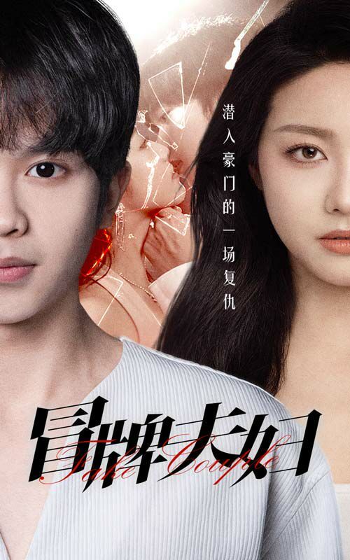 冒牌夫妇第41-60集