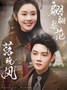翩翩梨花落晚风第21-40集