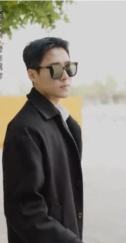 我成了失忆霸总的心尖宠第21-40集