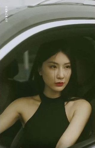 特工凤凰（绝色特工）第41-60集