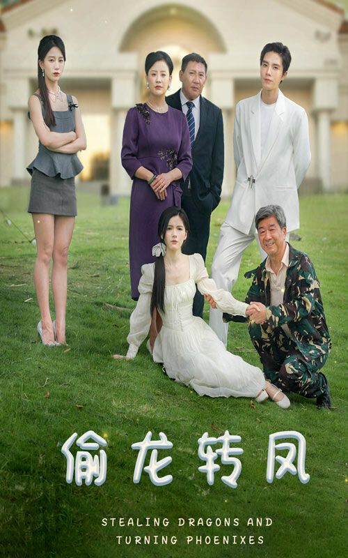 偷龙转凤全集(大结局)