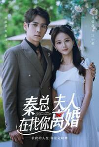 秦总，夫人在找你离婚第41-60集