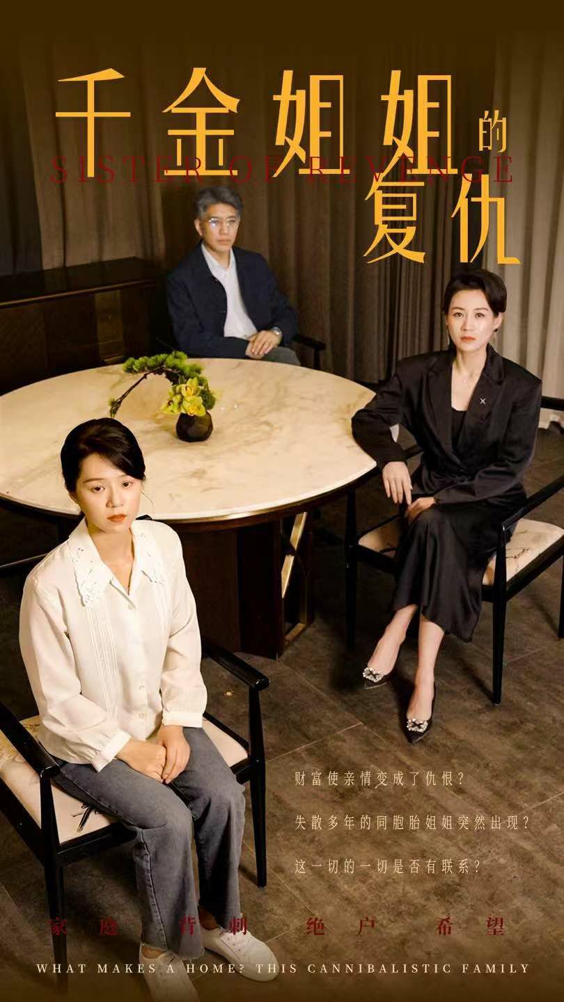 千金姐姐的复仇第41-60集