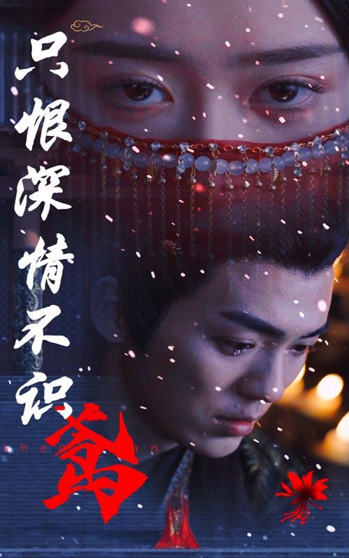 只恨深情不识鸢第47集