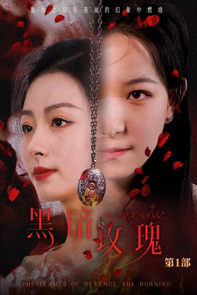黑暗玫瑰第41-60集