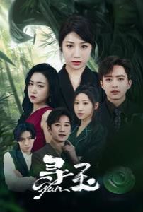 寻玉全集(大结局)