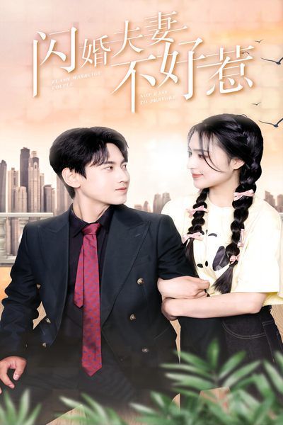闪婚夫妻不好惹第41-60集