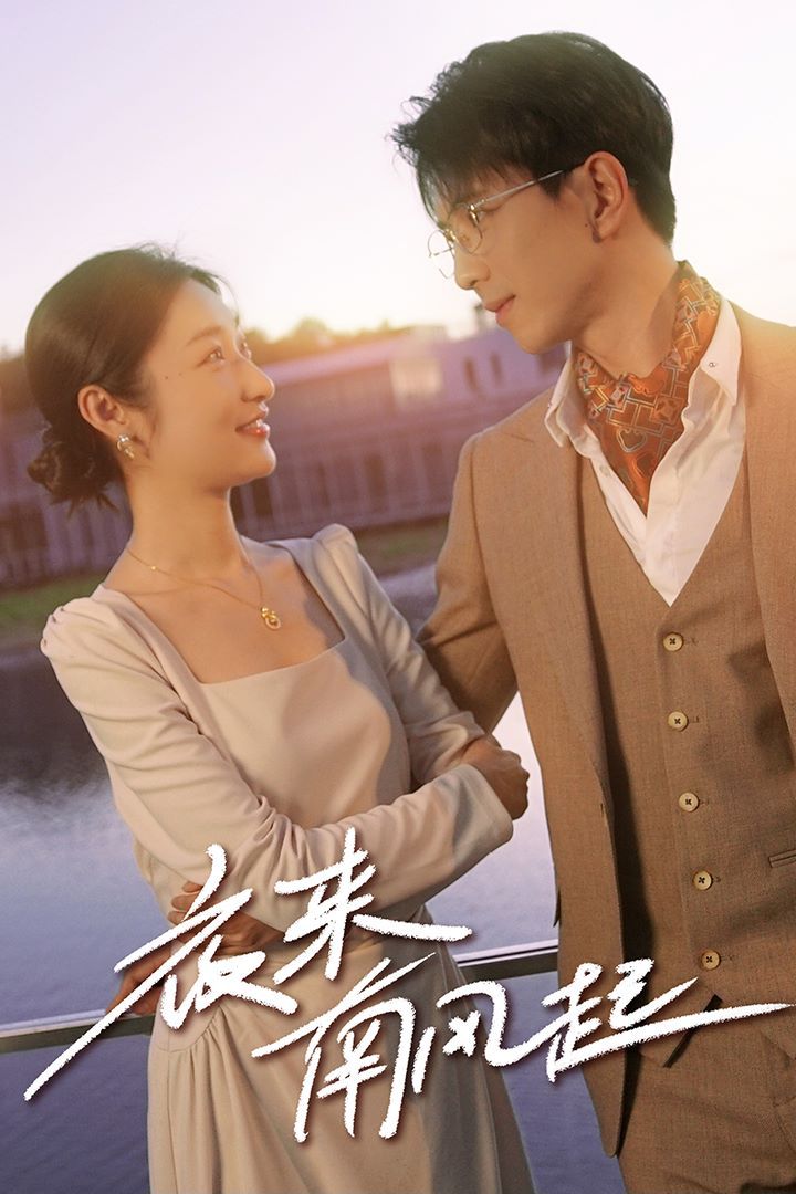 夜来南风起全集(大结局)