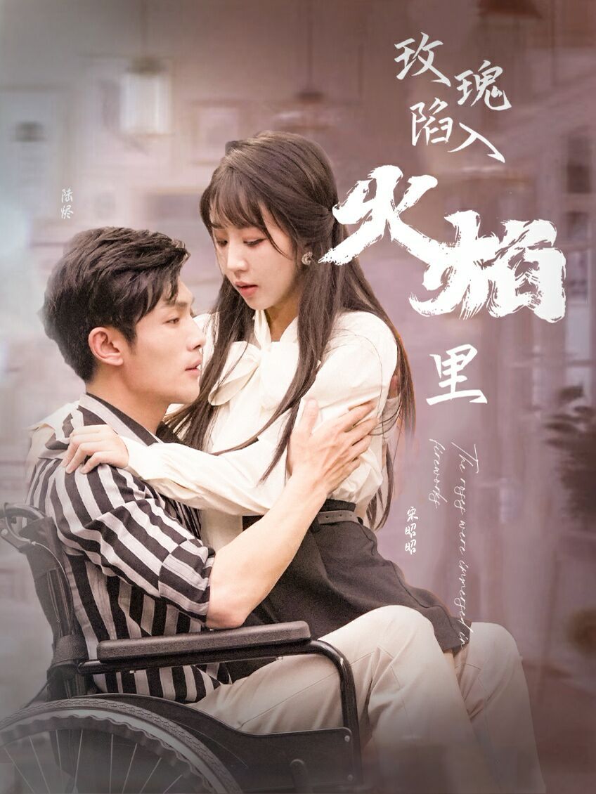 新玫瑰陷入火焰里第21-40集