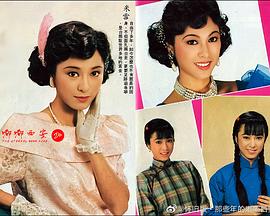 啼笑因缘(1987)第25集(大结局)