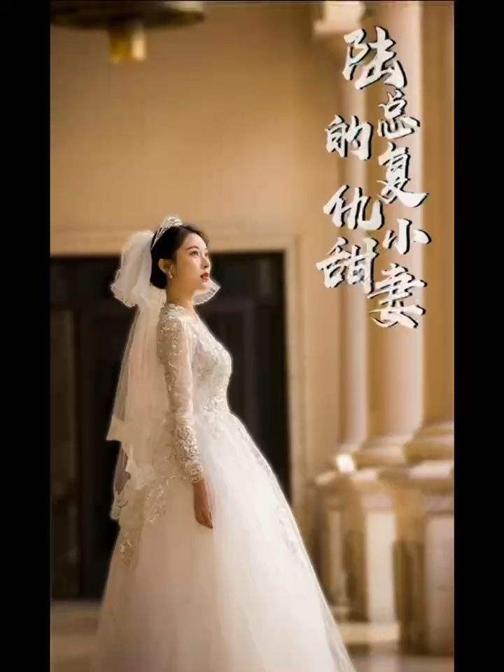 陆总的复仇小甜妻61-80集(大结局)