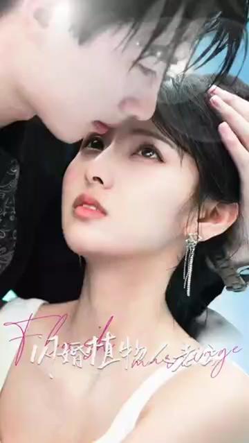 闪婚植物人老公1-20集