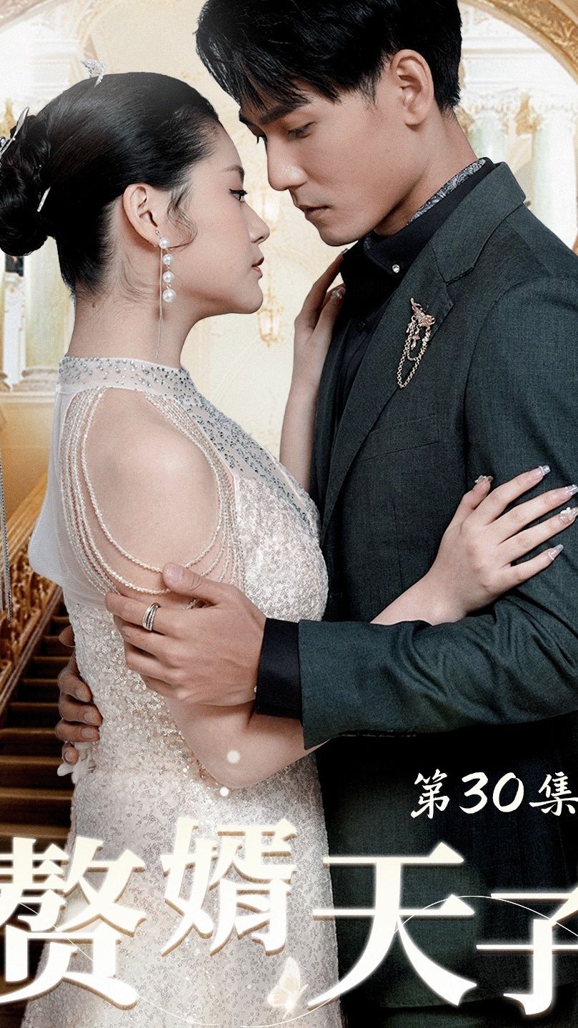 赘婿天子全集 (下)