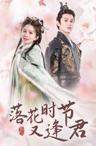 落花时节又逢君61-80集(大结局)