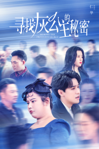 寻找灰公主的秘密第41-60集