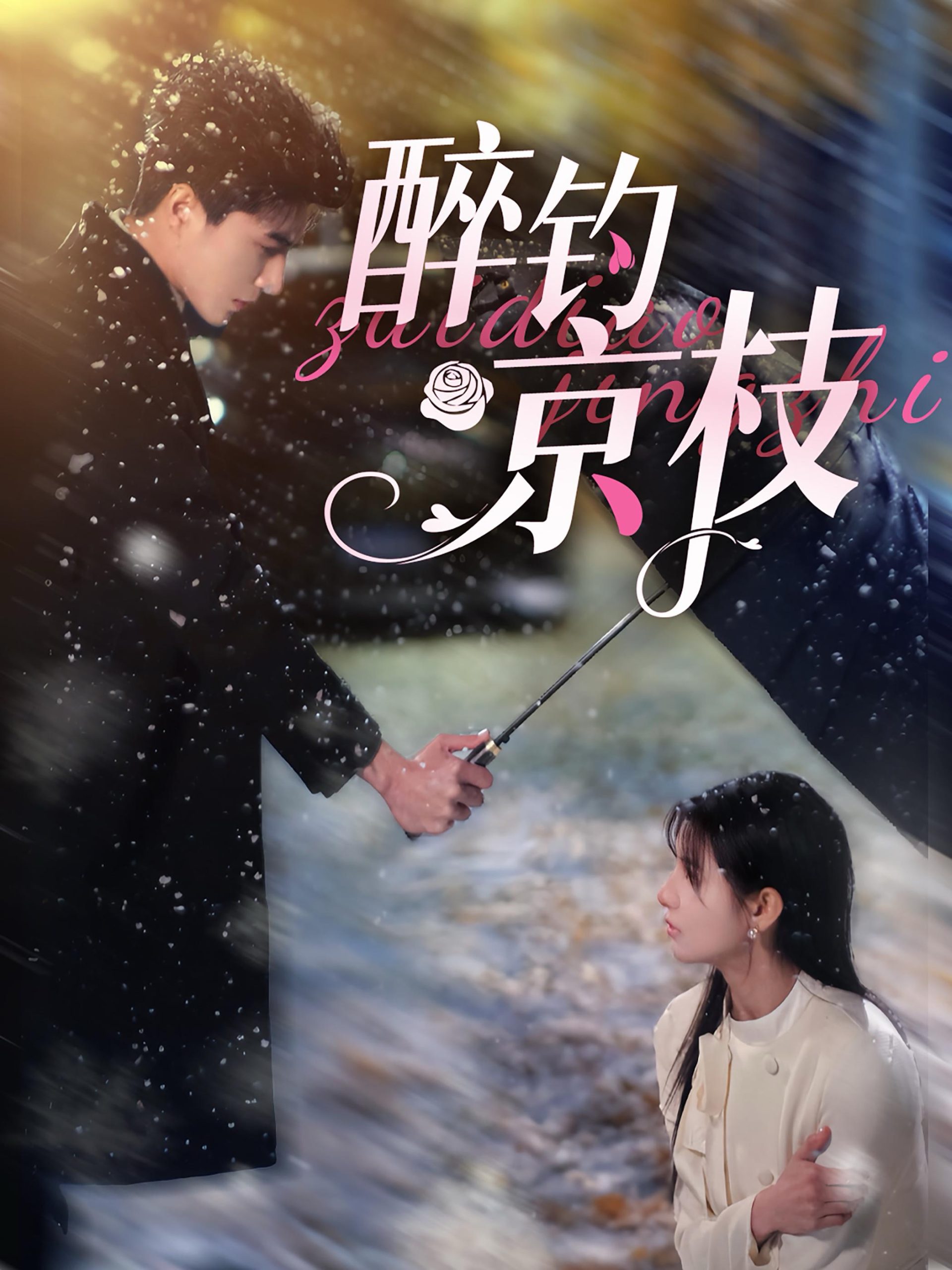 醉钓京枝第61-80集