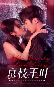 京枝玉叶第21-40集