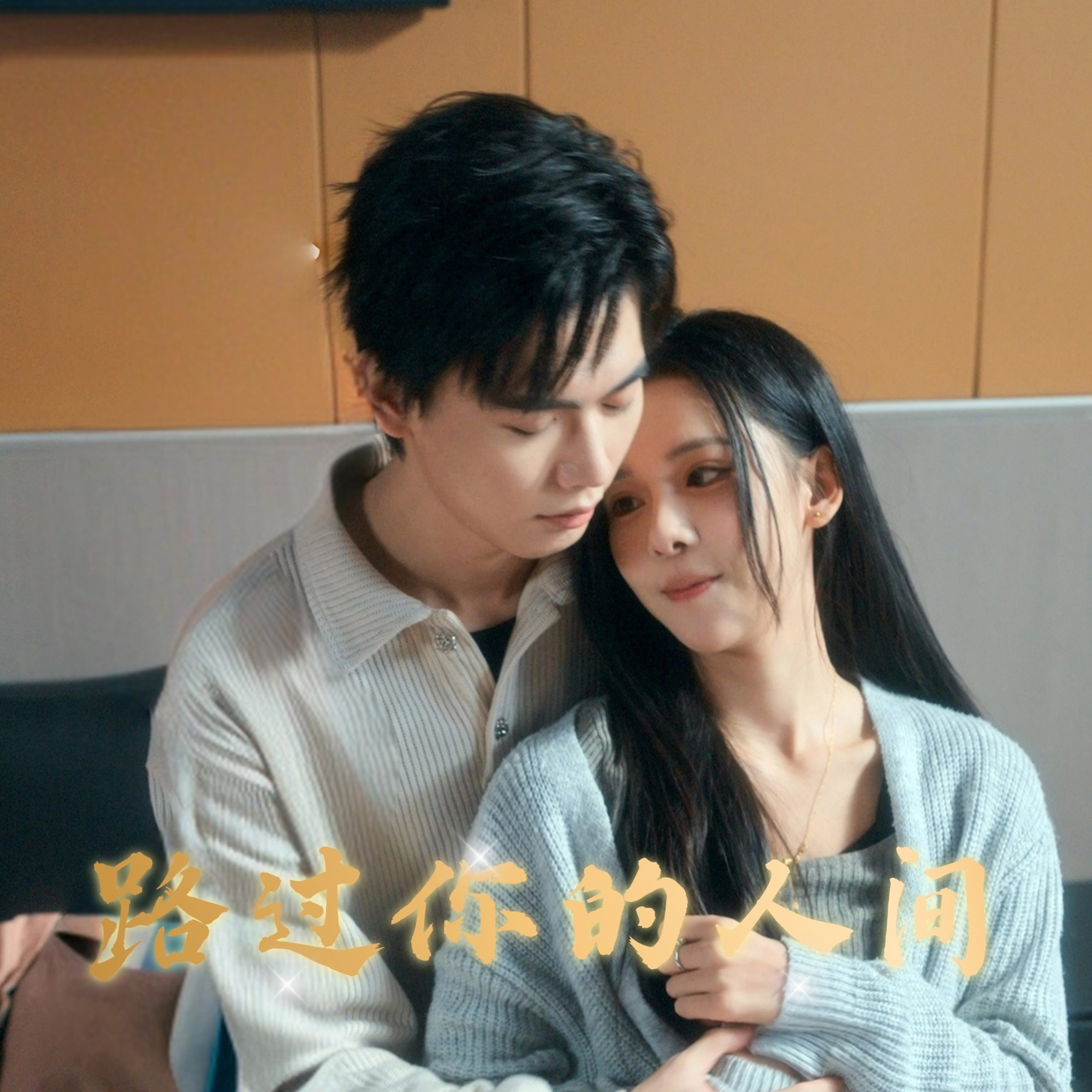 路过你的人间全集(大结局)