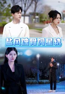 盐风蚀骨饲星轨(全集)