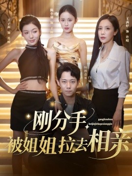 刚分手，被姐姐拉去相亲(全集)